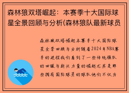 森林狼双塔崛起：本赛季十大国际球星全景回顾与分析(森林狼队最新球员名单)