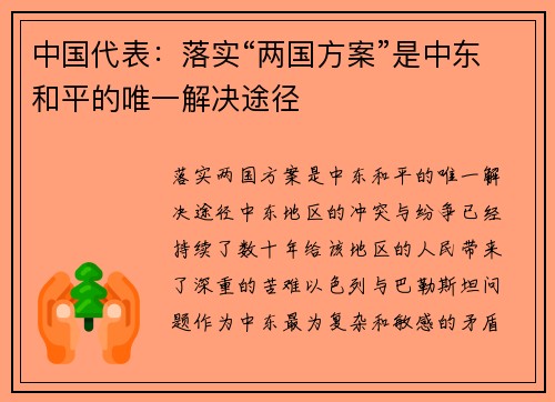 中国代表：落实“两国方案”是中东和平的唯一解决途径