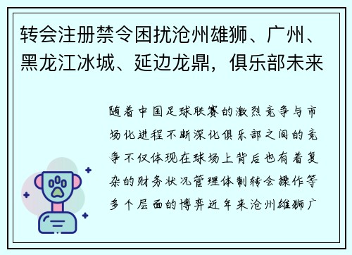 转会注册禁令困扰沧州雄狮、广州、黑龙江冰城、延边龙鼎，俱乐部未来何去何从？