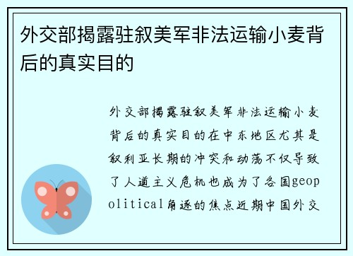 外交部揭露驻叙美军非法运输小麦背后的真实目的